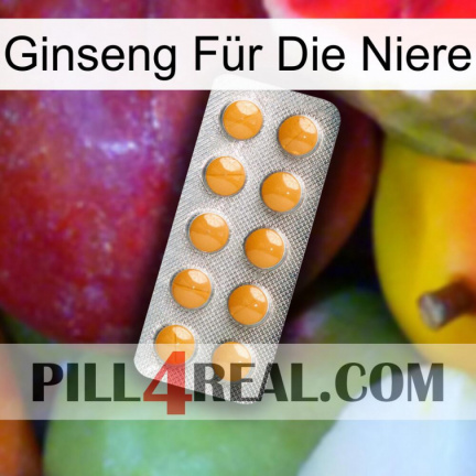 Ginseng Für Die Niere levitra1